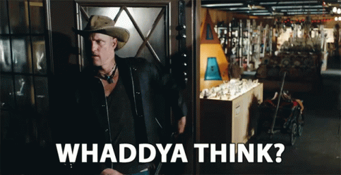 whaddya-think-what-do-you-think.gif