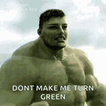 Shrae Hulk GIF - Shrae Hulk GIFs