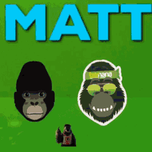 Matty Matt Matt GIF - Matty Matt Matt Gorilla Gif GIFs