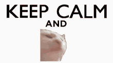 Cat Jam Keep Calm GIF - Cat Jam Keep Calm Twitch GIFs