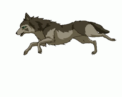 Wolf Rennt,run,gallop,Running,gif,animated gif,gifs,meme.
