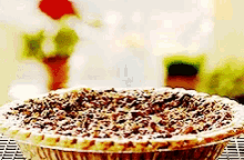 National Pecan Pie Day Food GIF - National Pecan Pie Day Pecan Pie Food -  Discover & Share GIFs