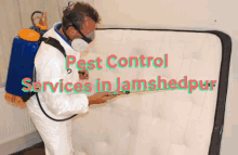 Pest Control Services In Jamshedpur GIF - Pest Control Services In Jamshedpur GIFs