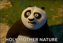 Kung Fu Panda Holy Mother Nature GIF - Kung Fu Panda Holy Mother Nature Shocked GIFs