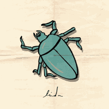 Beetle Illustration GIF - Beetle Illustration Animals GIFs