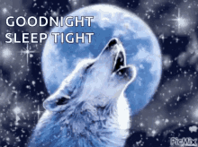 goodnight sleep tight sparkles wolf moon