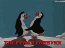 Together Forever Penguin GIF - Together Forever Penguin Love GIFs