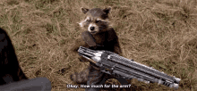 Rocket Raccoon GIF - Rocket Raccoon Metal GIFs