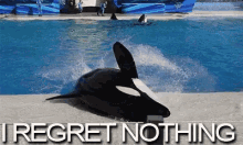 Regret Whale GIF - Regret Whale Spinning GIFs