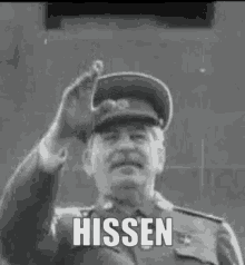 Hiss Hissen GIF - Hiss Hissen GIFs