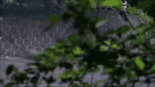 jdm drift