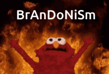Brandonism GIF - Brandonism GIFs