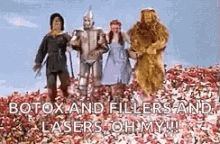 Oz Flowers GIF - Oz Flowers Wizard GIFs