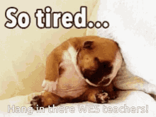 My Message For Wes Tired GIF - My Message For Wes Tired Wes Teachers GIFs
