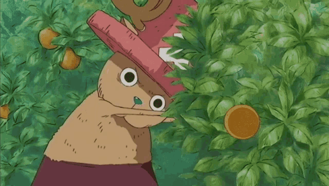 Hallo *versucht sich zu verstecken* Chopper-one-piece-one-piece