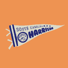 South Carolina Votes Early For Jamie Harrison Pennant GIF - South Carolina Votes Early For Jamie Harrison Pennant Jamie Harrison GIFs