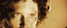 Lord Of The Rings Frodo GIF - Lord Of The Rings Frodo Stare GIFs