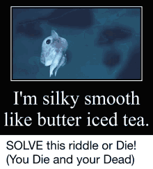 octopus dumbo octopus squid silky smooth butter