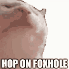 on foxhole