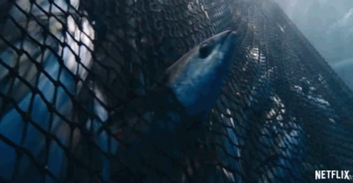 fishing-stuck.gif