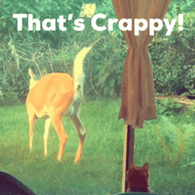Crappy Holy GIF - Crappy Crap Holy GIFs