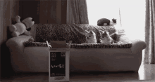 A Cat-robat, If You Will GIF - Catrobat Cats Funny GIFs
