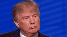 Donald Trump Yes GIF - Donald Trump Yes Cant Hear You GIFs