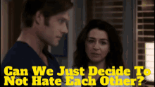 Greys Anatomy Amelia Shepherd GIF - Greys Anatomy Amelia Shepherd Can We Just Decide To Not Hate Each Other GIFs