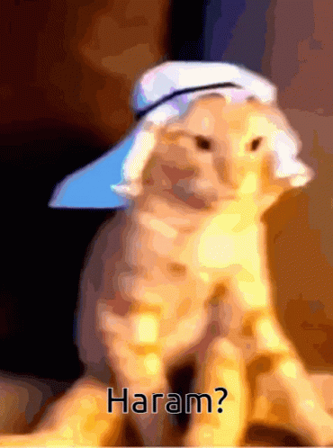 haram-alah.gif