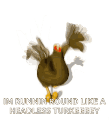 Headless Chicken GIF - Headless Chicken Run GIFs