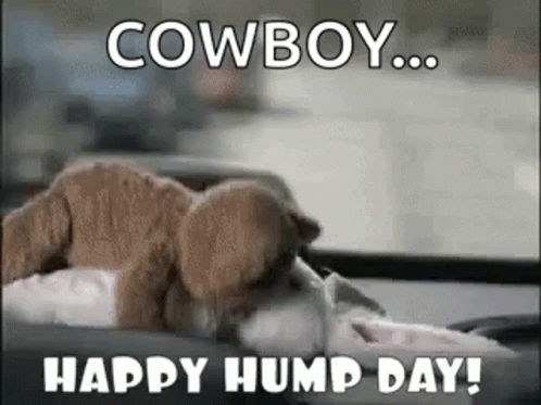 Happy Hump Day,Blaupunkt Ad,The Advantage In Your Car,gif,animated gif,gifs...