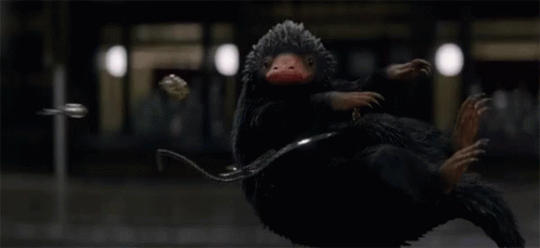 Fantastic Beasts Fantastic Beasts And Where To Find Them GIF - Fantastic  Beasts Fantastic Beasts And Where To Find Them Niffler - Discover & Share  GIFs