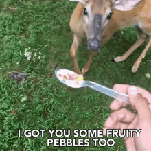 Kelvin Pena Fruity Pebbles GIF - Kelvin Pena Fruity Pebbles Deer GIFs