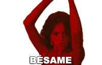 Besame Selena Gomez Sticker - Besame Selena Gomez Baila Conmigo Stickers