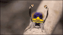 Bugs Spiders GIF - Bugs Spiders Dancing Spider GIFs