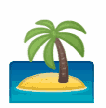 island palm tree ocean water