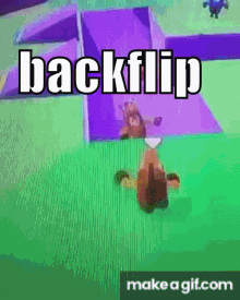 fall guys backflip do a flip meme gif