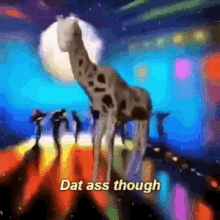 Giraffe Ass GIF - Giraffe Ass Poor Graphics GIFs