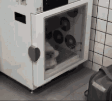 Dishwasher Cat Cats GIF - Dishwasher Cat Dishwasher Cat GIFs