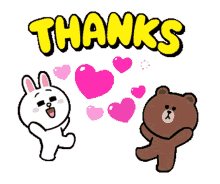 cony brown brown bear cony and brown brown and cony cony brown brown bear cony and brown brown and cony