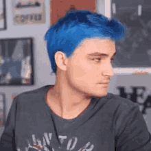 felipe neto vlogger felipe neto rodrigues vieira youtuber blue hair felipe neto vlogger felipe neto rodrigues vieira youtuber blue hair