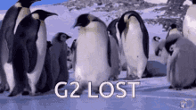 lost g2