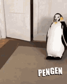 pengen pengun penguen pegen penguin