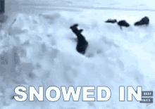 Snowed In GIF - Best Fails Snowed In Stuck GIFs