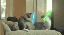 Cats Starwars GIF - Cats Starwars Cat Fight GIFs