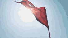 wave bhagwa