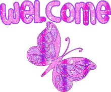welcome butterfly pink