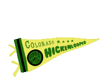 Colorado Votes Early For Hickenlooper Pennant Sticker - Colorado Votes Early For Hickenlooper Pennant John Hickenlooper Stickers