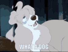 Lady And The Tramp Peg GIF - Lady And The Tramp Peg What A Dog GIFs