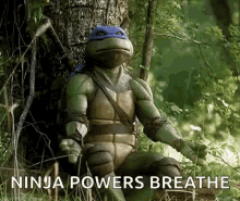 Teenage Mutant Ninja Turtles Leonardo GIF - Teenage Mutant Ninja Turtles Leonardo Meditate GIFs